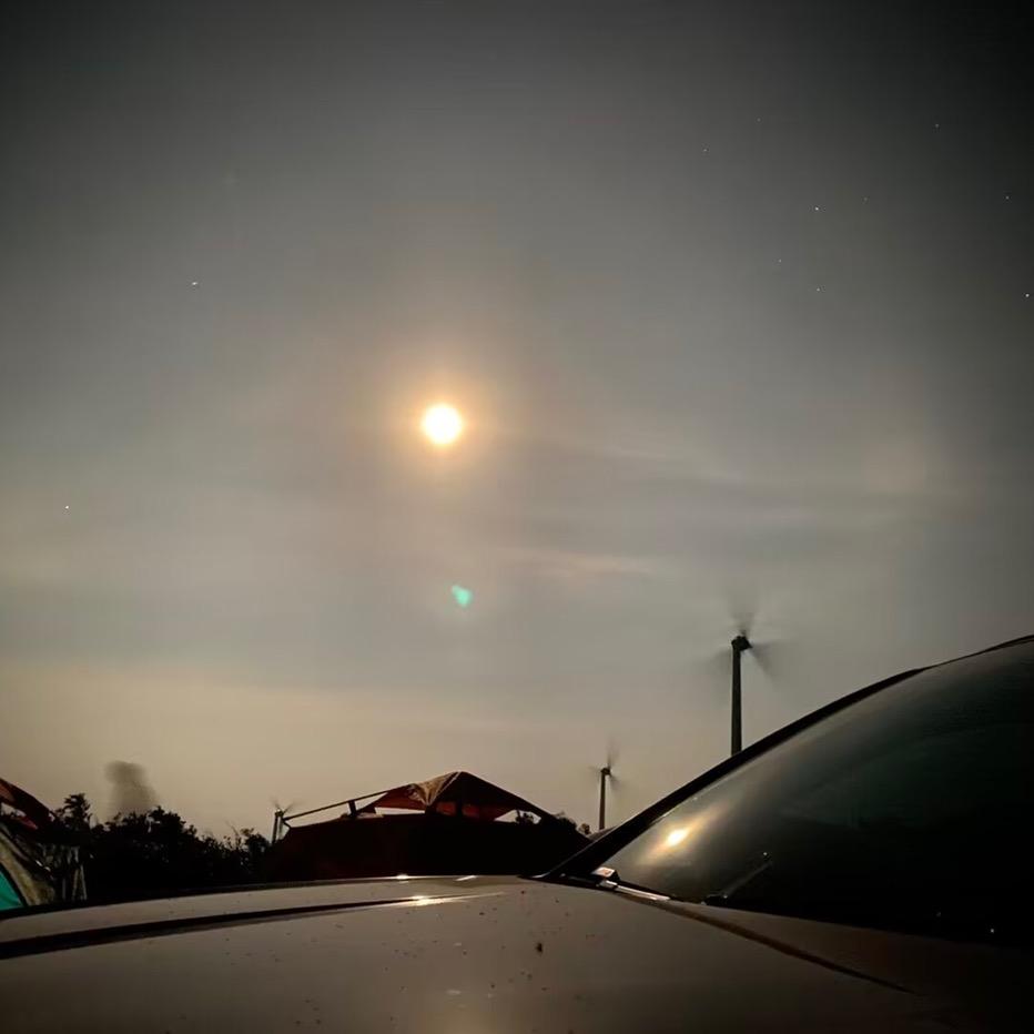 白嫖王者，主打陪伴