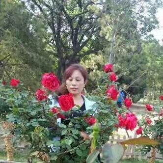 君子若兰