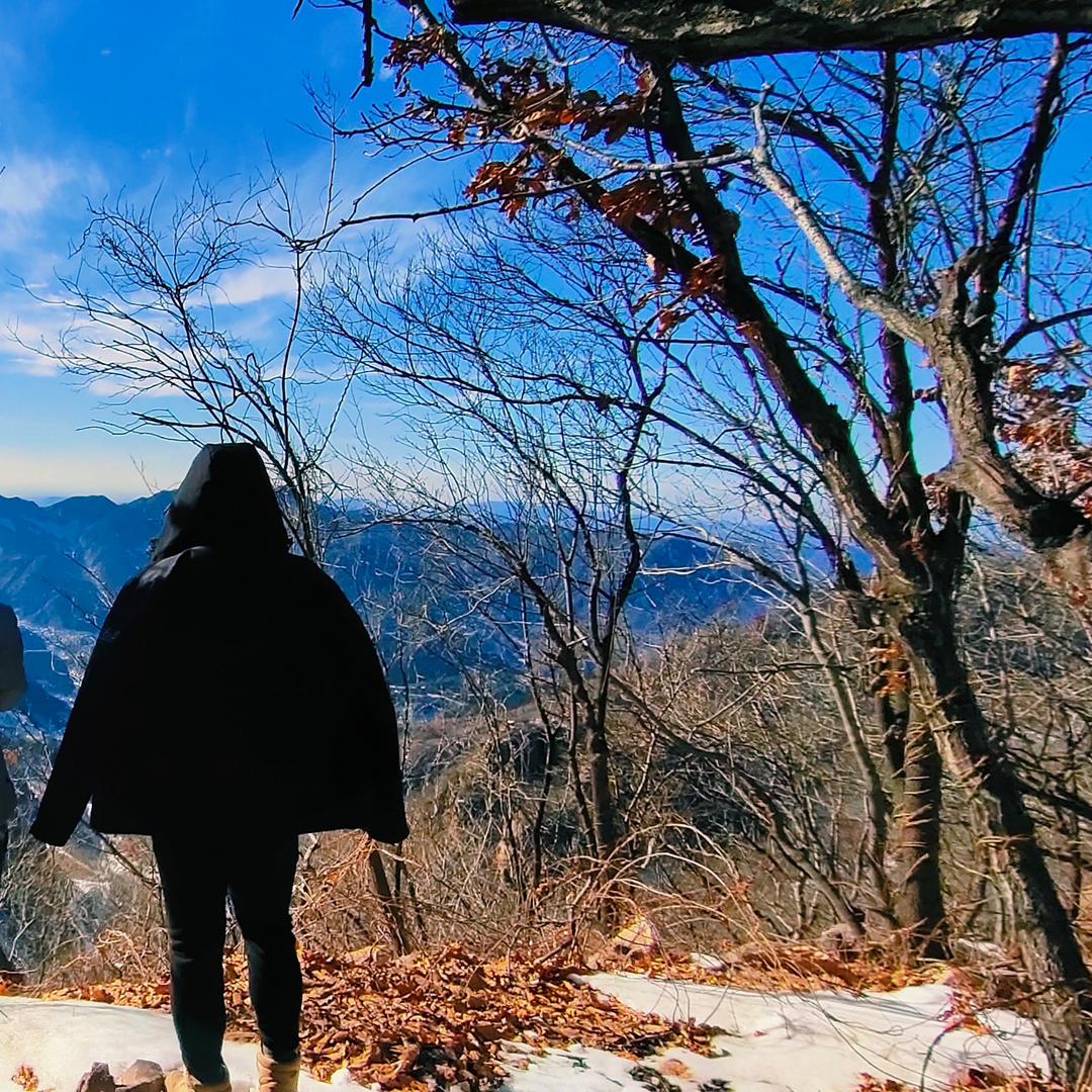 梦回吹角连营。