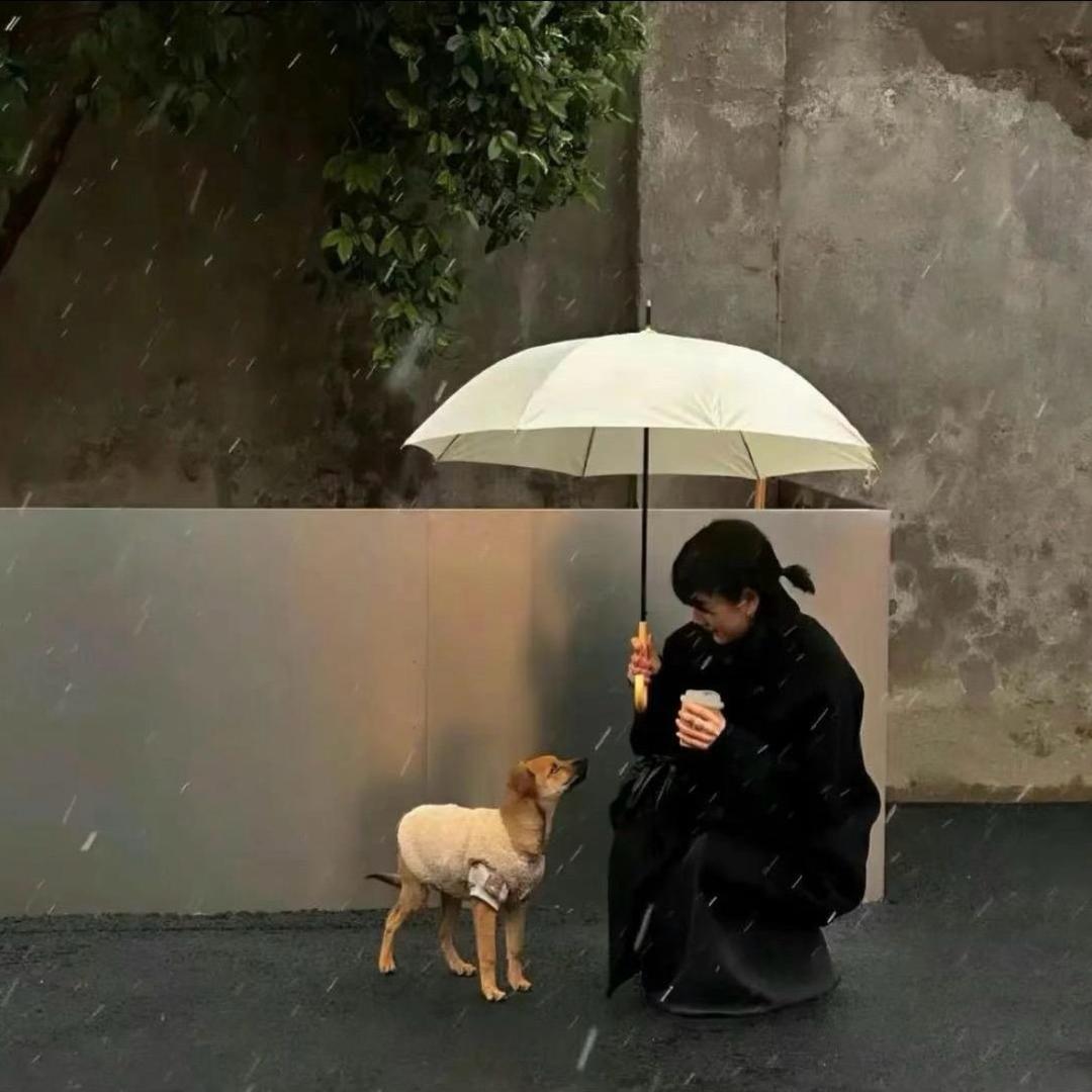 🍀只如初见