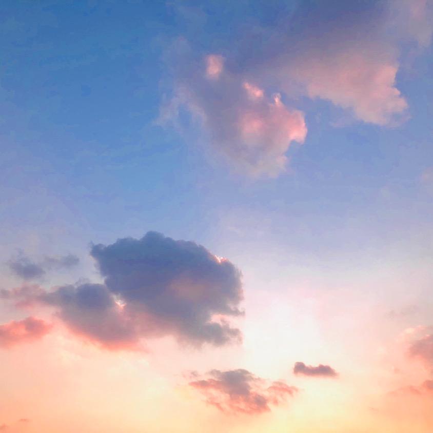 水蒸蛋（爱心人士）