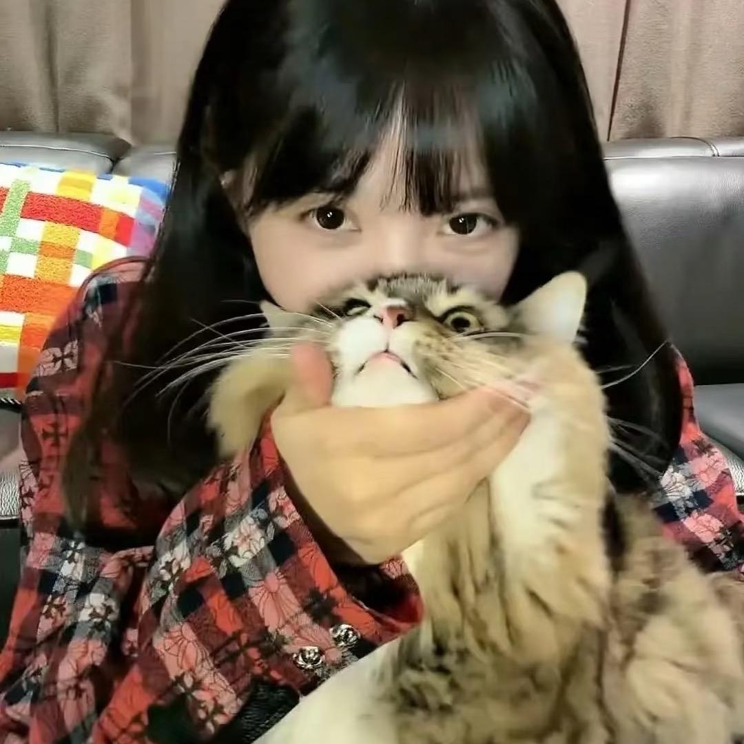 RX.蝶恋花