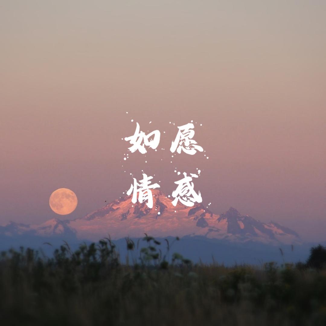 如愿·情感🏘️