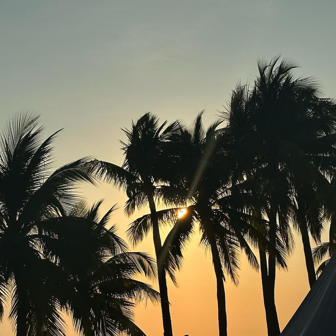 (🌈❁҉҉҉҉҉҉҉