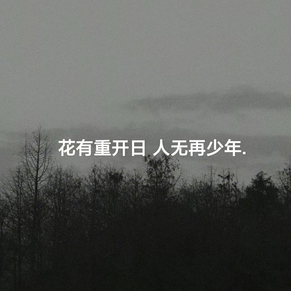 唐哥短剧