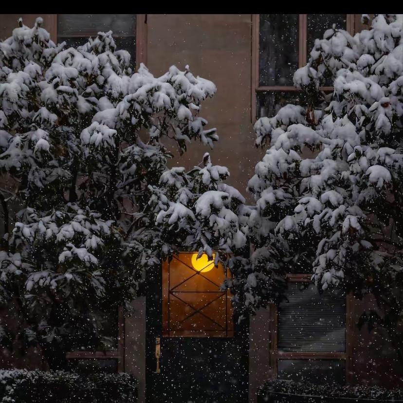雪落寒枝暖冬序。