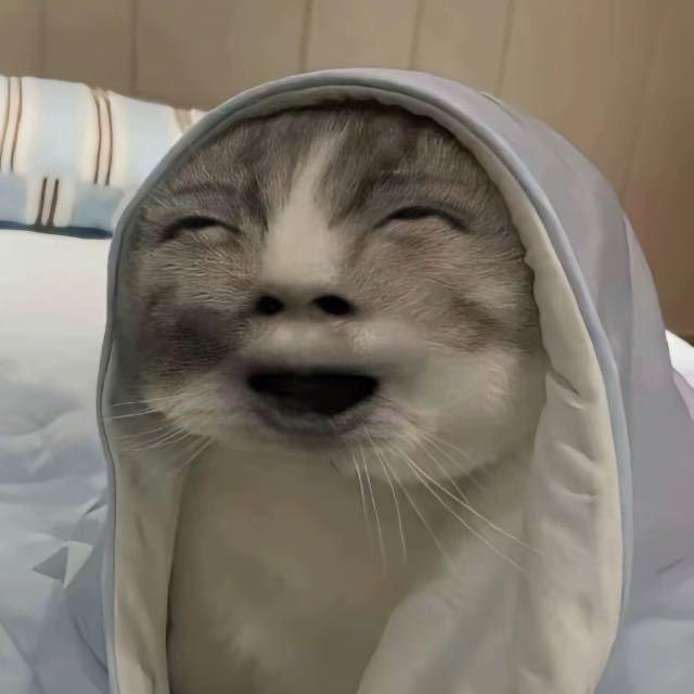 单招落榜秀才