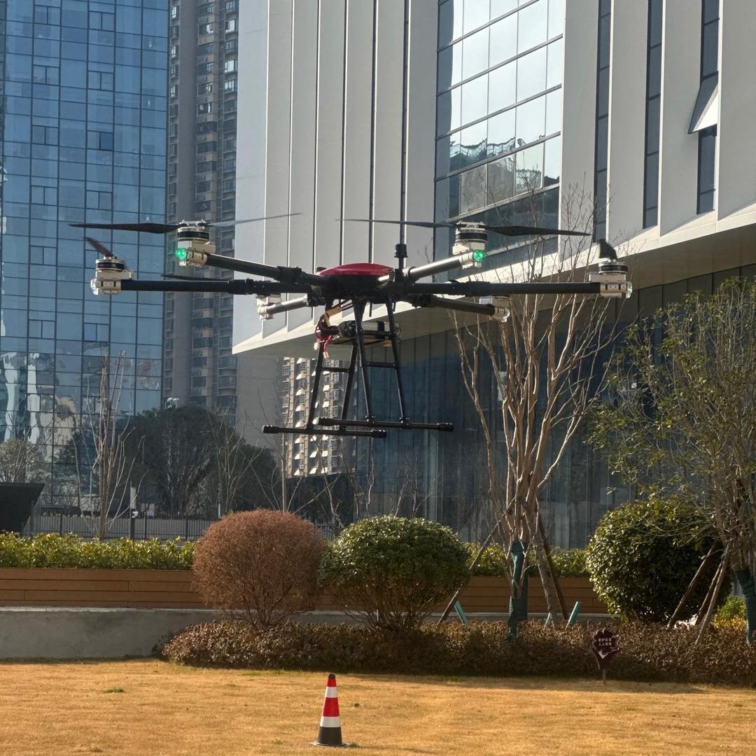 CAAC蜜蜂小狗教练