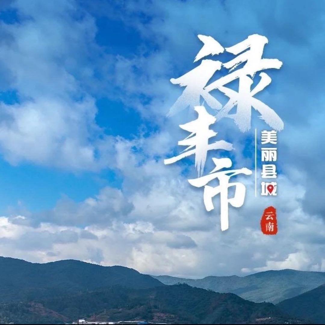 爱上禄丰