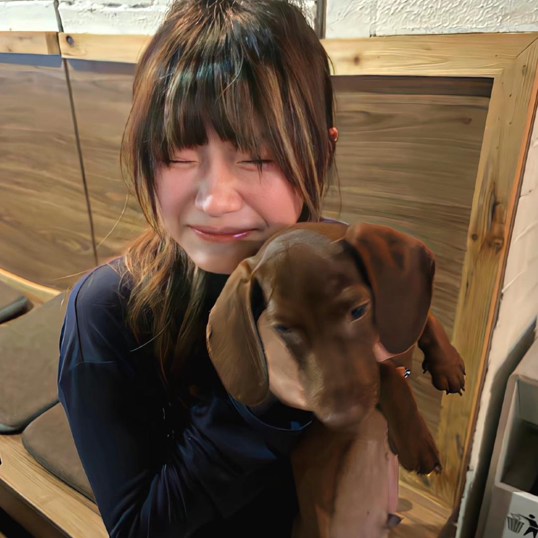 u点笨