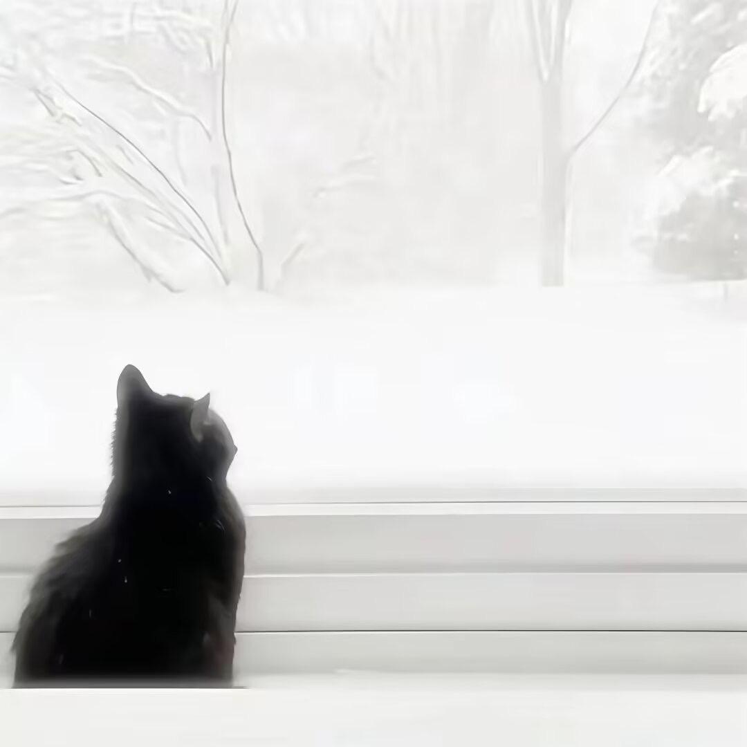 没醒