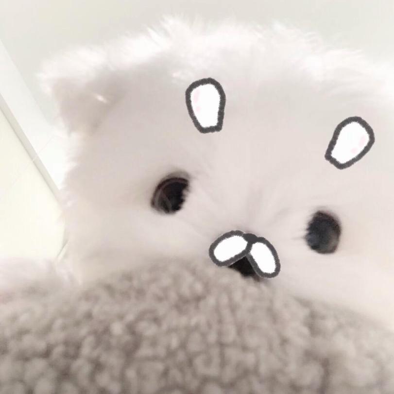 希望我讨厌的人都死掉