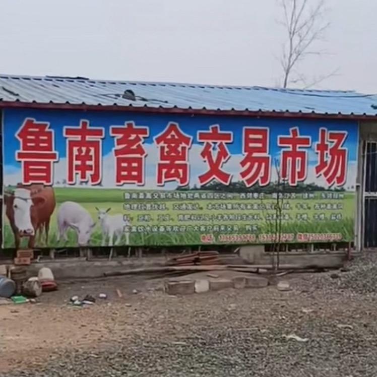 兰陵县鲁南畜禽交易市场：王保龙