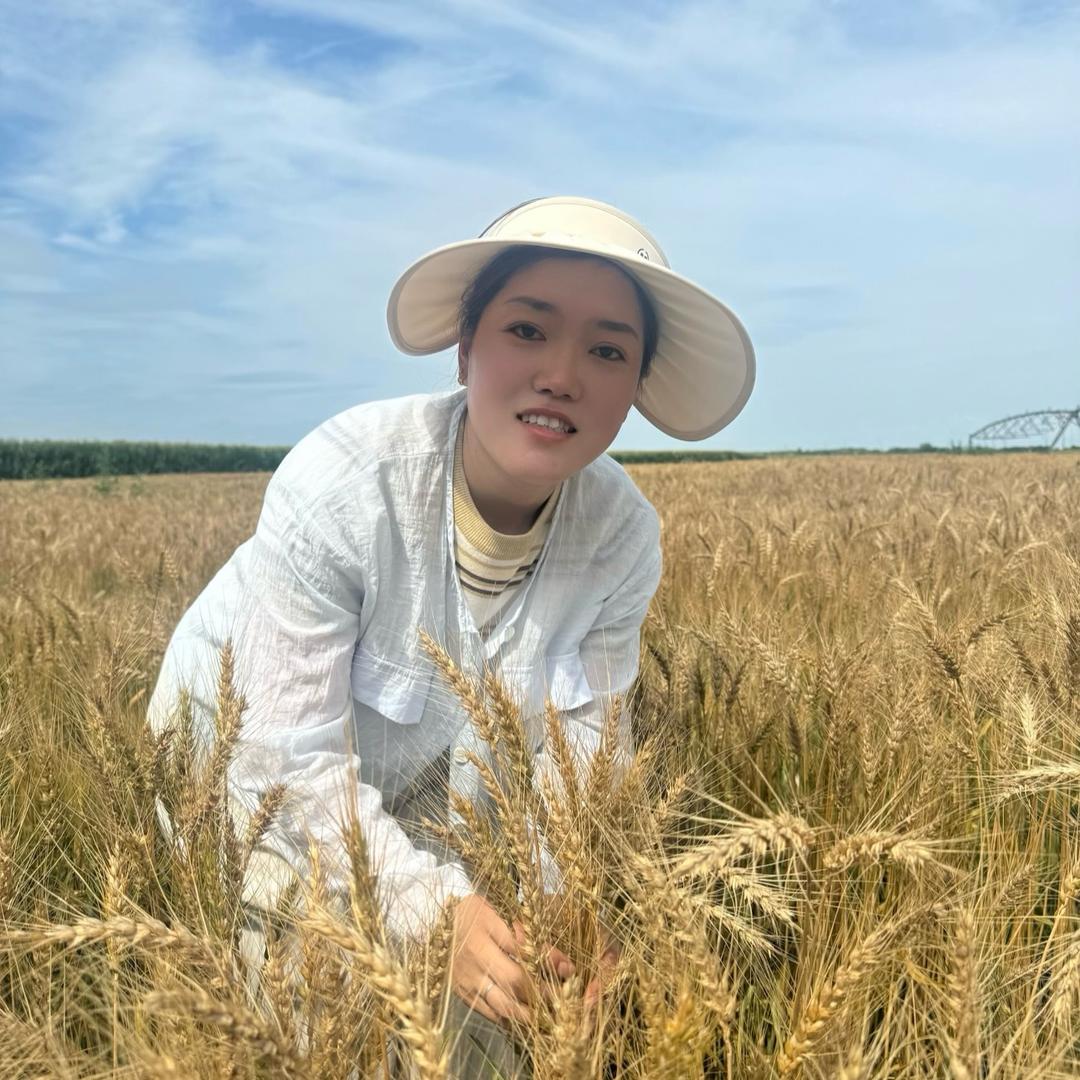 兴十四村友莲