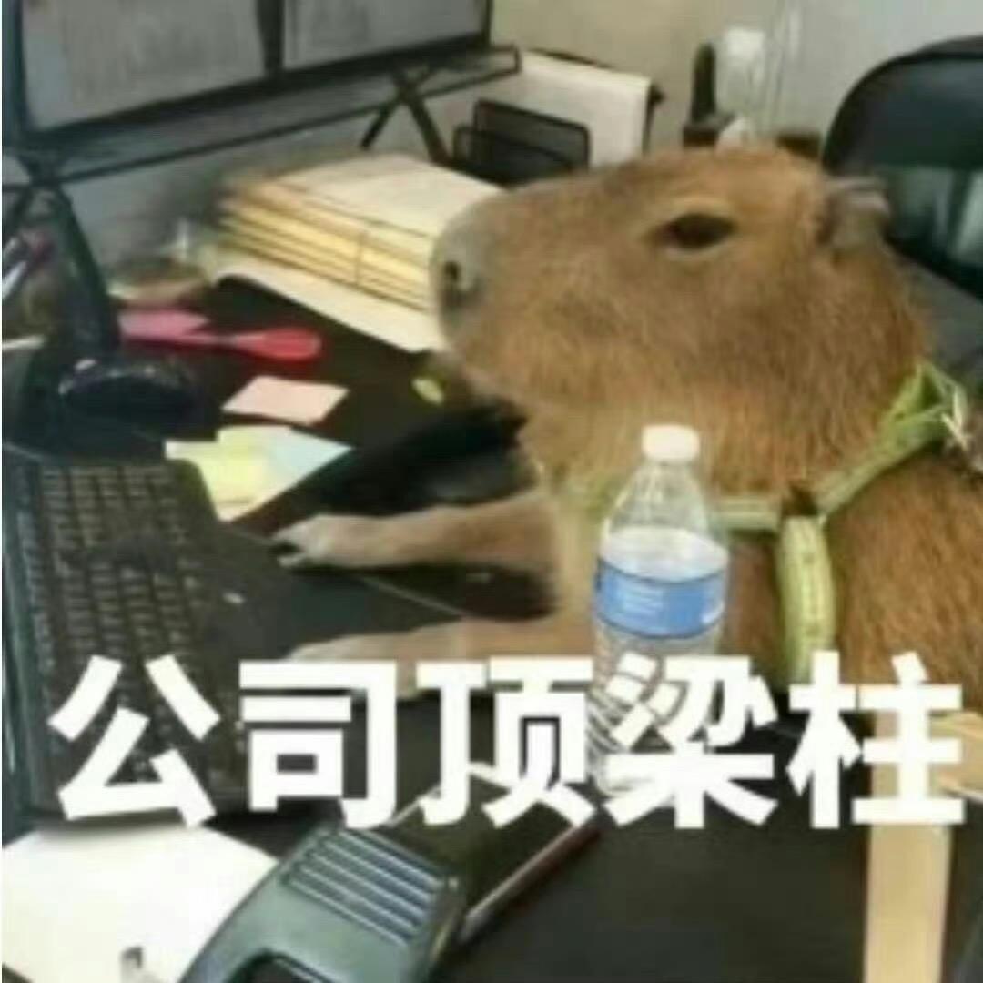 姓  zhai