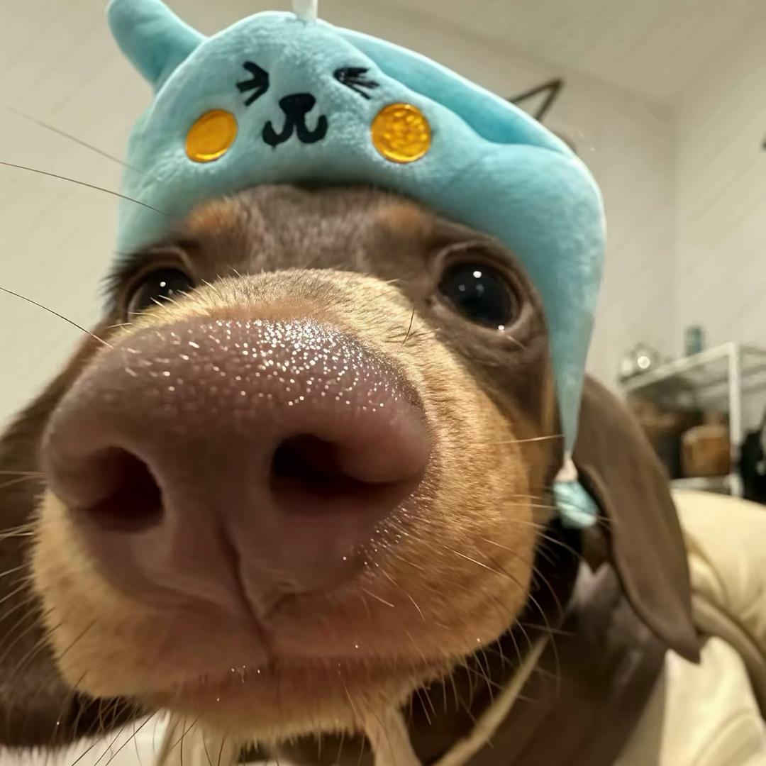 小益