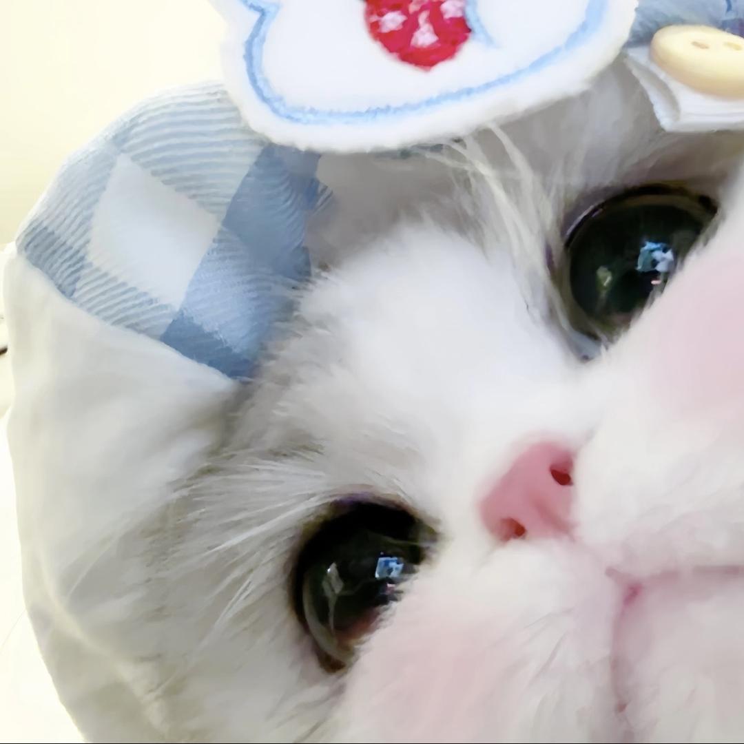 洛洛余（发圈对对碰版）