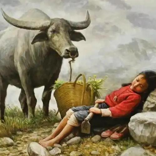 @💕命中有时终须有，命中无时莫强求💕