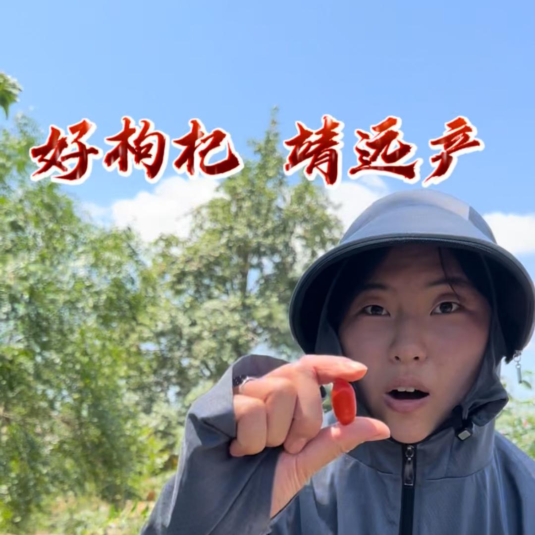 沃野精选果蔬