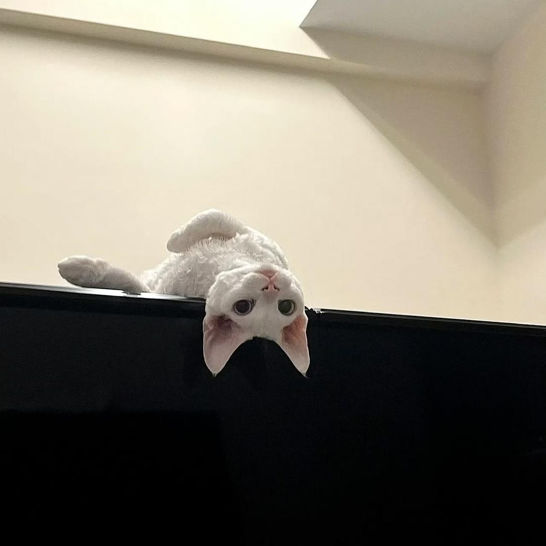/9