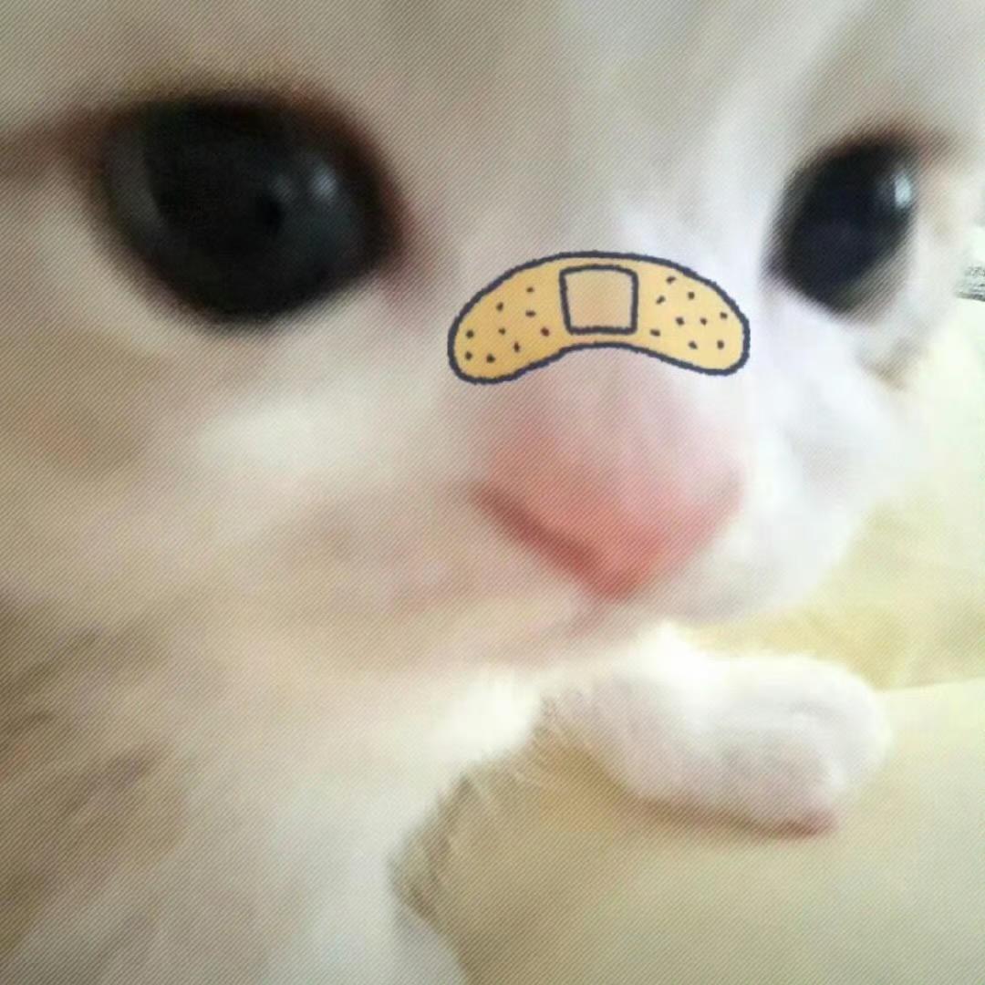 比巴卜冉