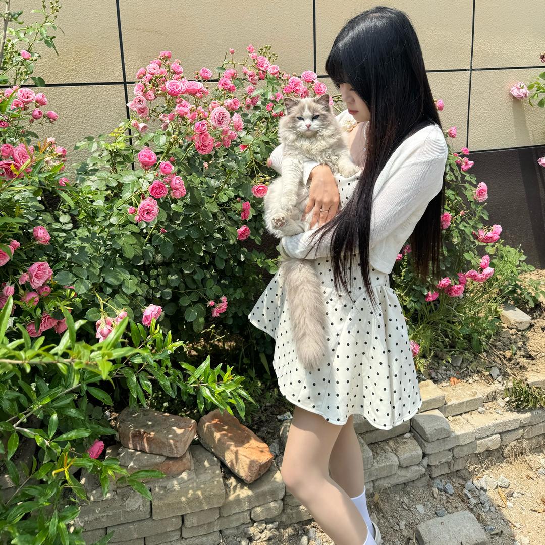 王糖糖 吖