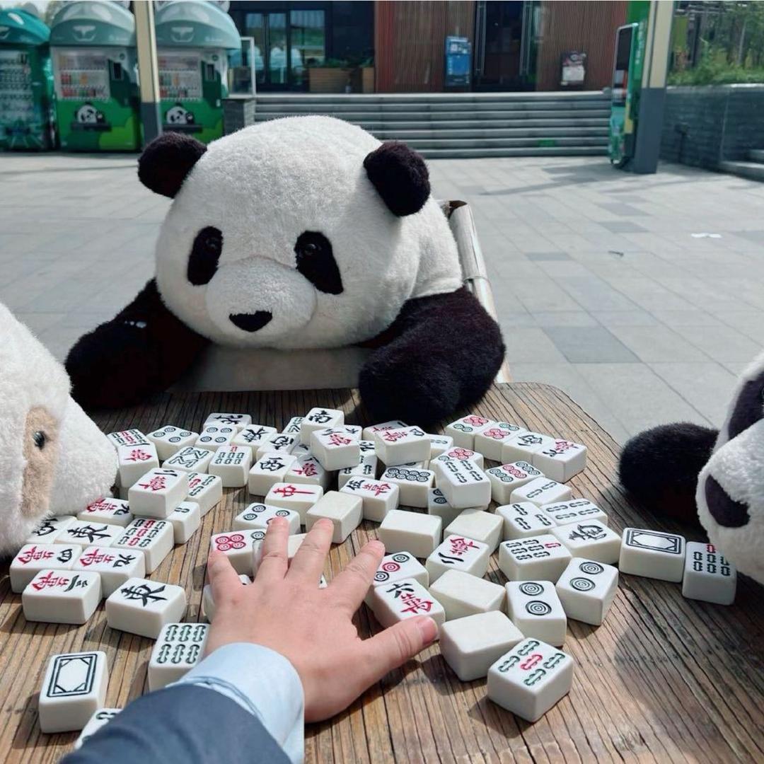 小猪点金