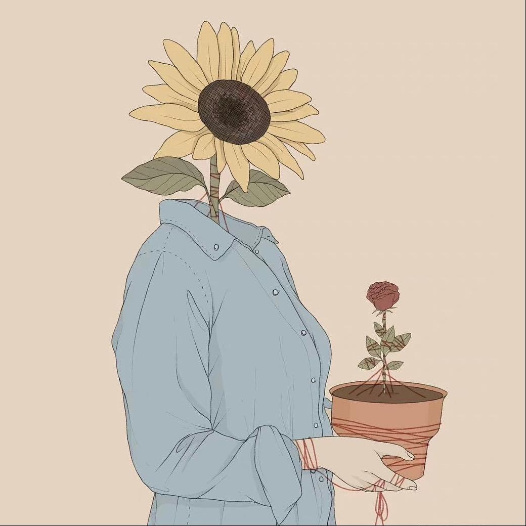 Sunflower·