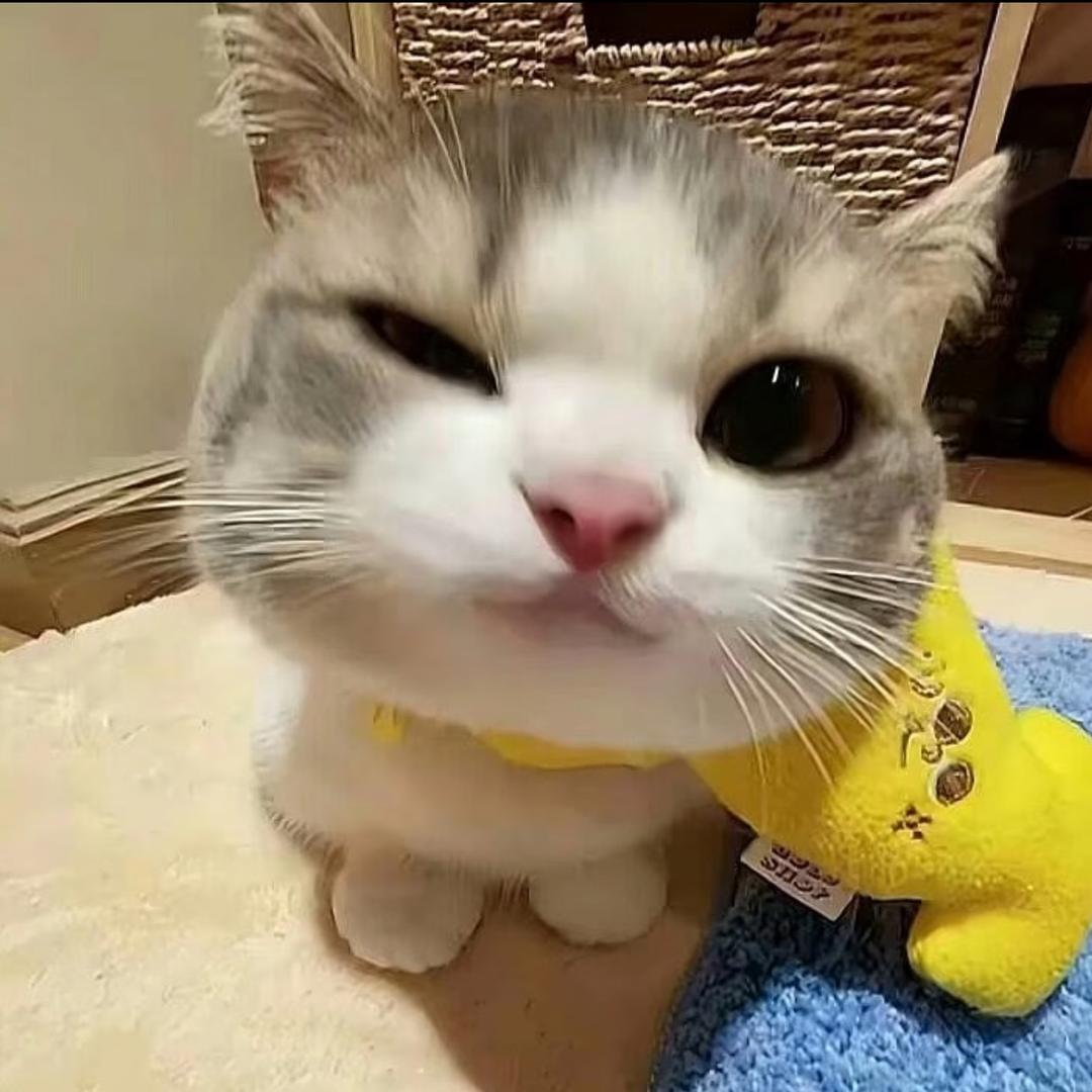 ⭐️