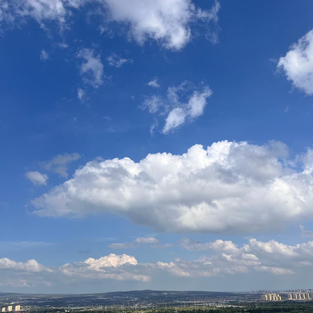 聪明是只喵