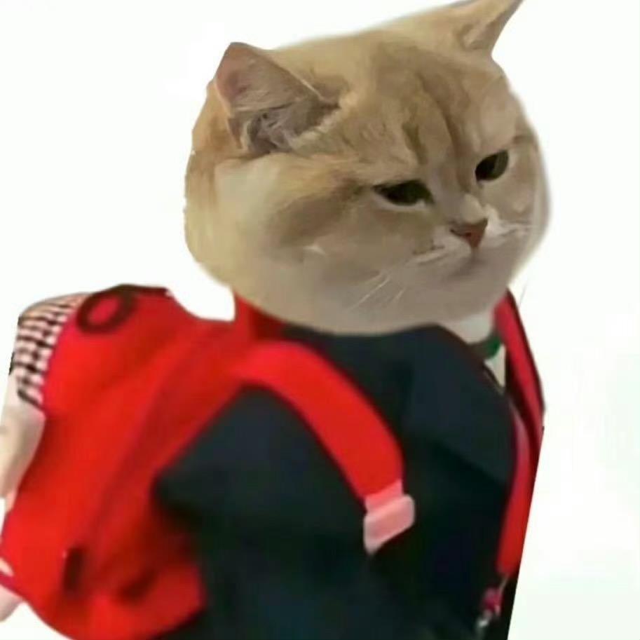 爱喝旺仔的小伟子