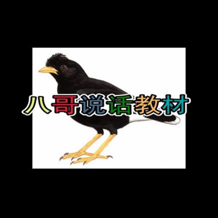 A   迪迪萌宠【八哥教语】