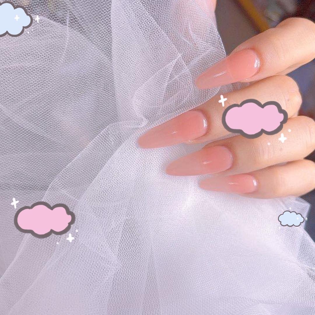 小妮子🎁