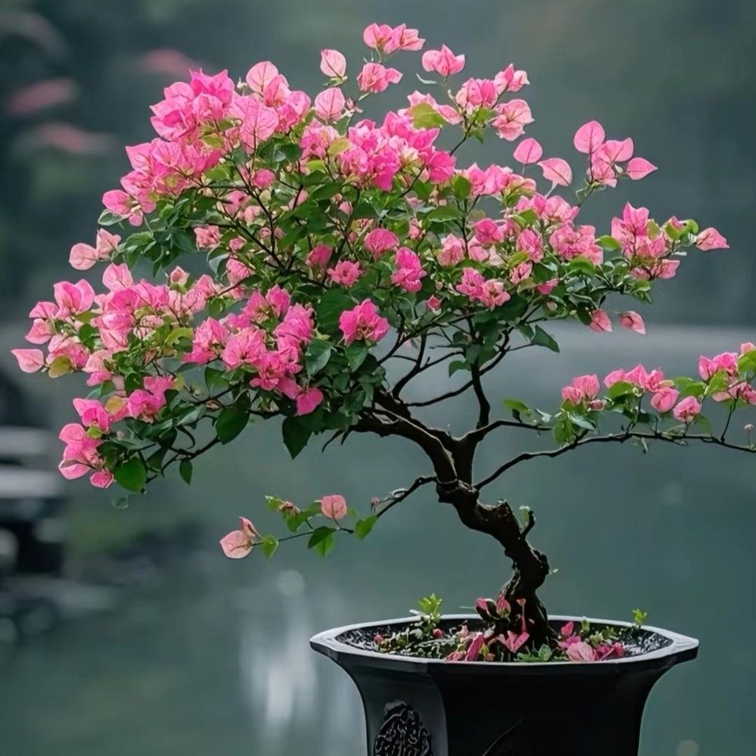志虹家电