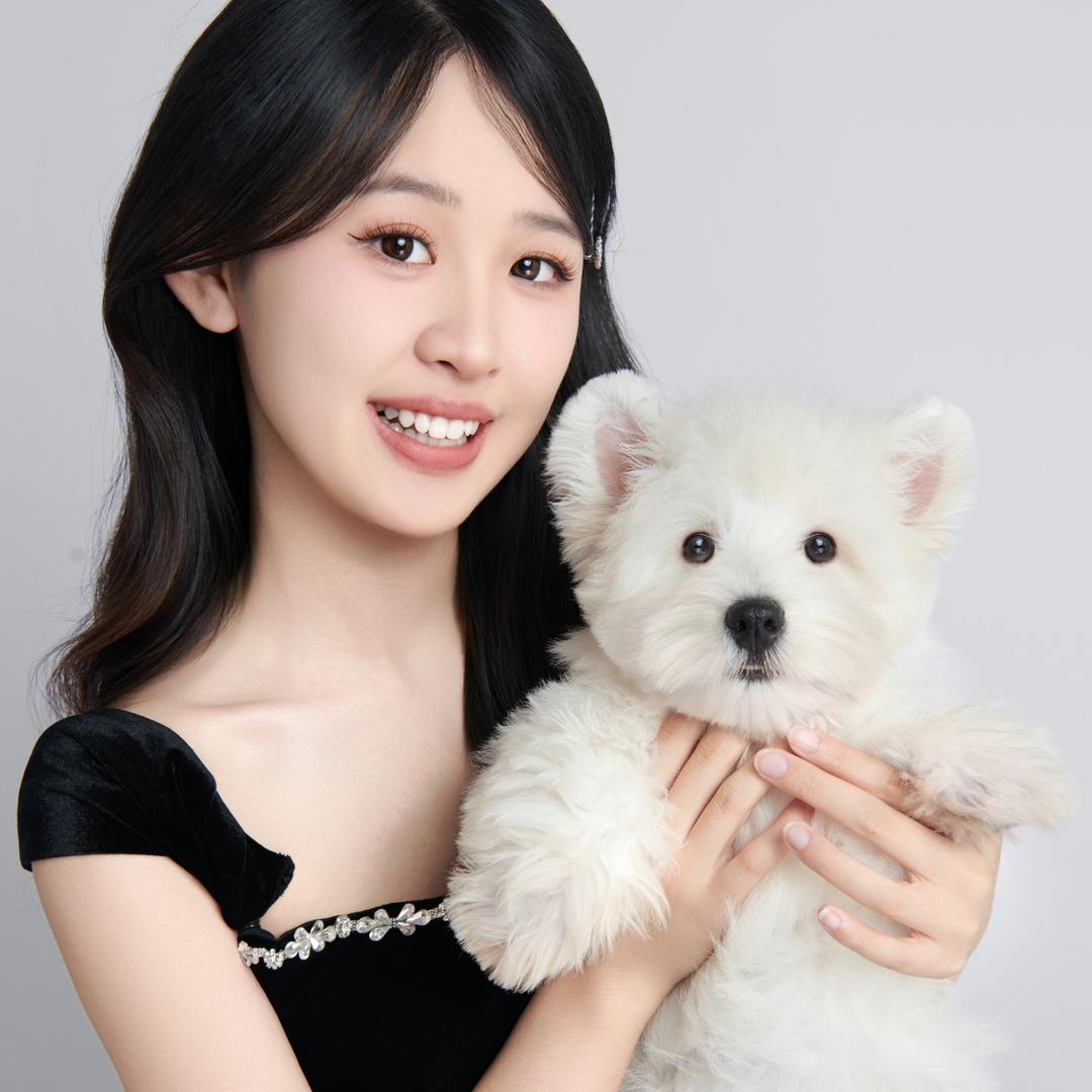 成都雪纳瑞之家（汪品聚）·小雯版