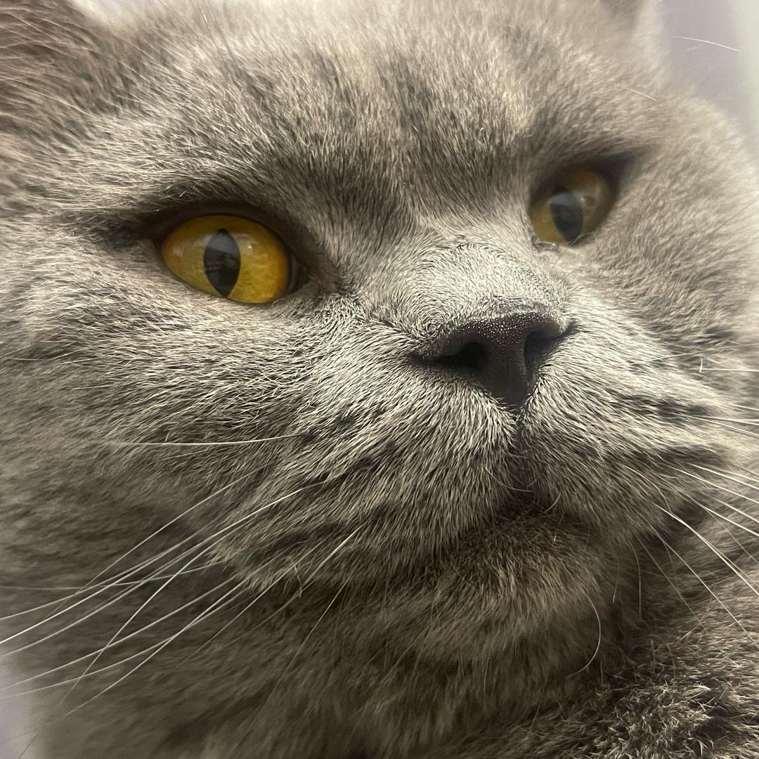 轻舟已过万重山.