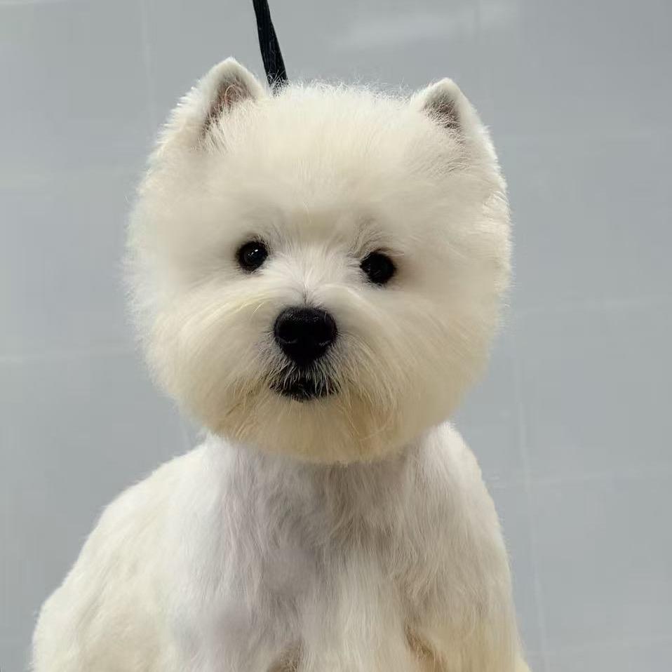 西高地繁育中心