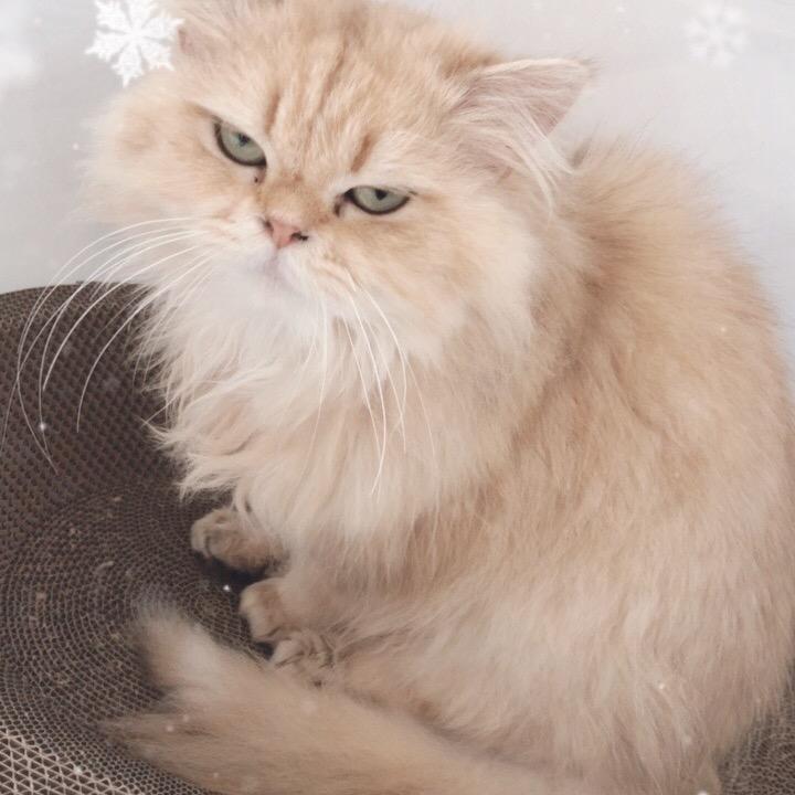 面包日常生活