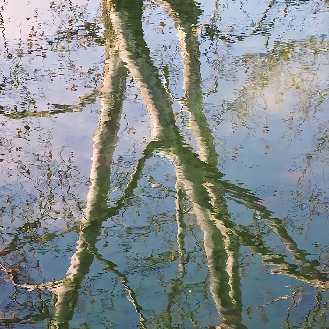 树漱束