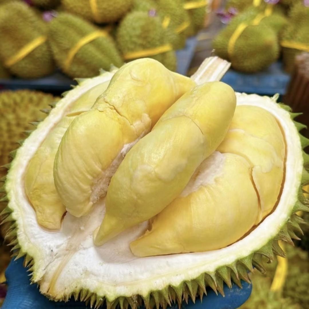 程之龙榴莲源头