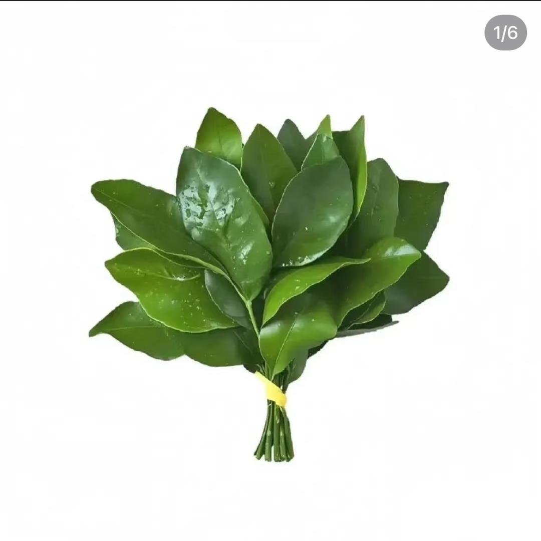 泡芙奶油🧁