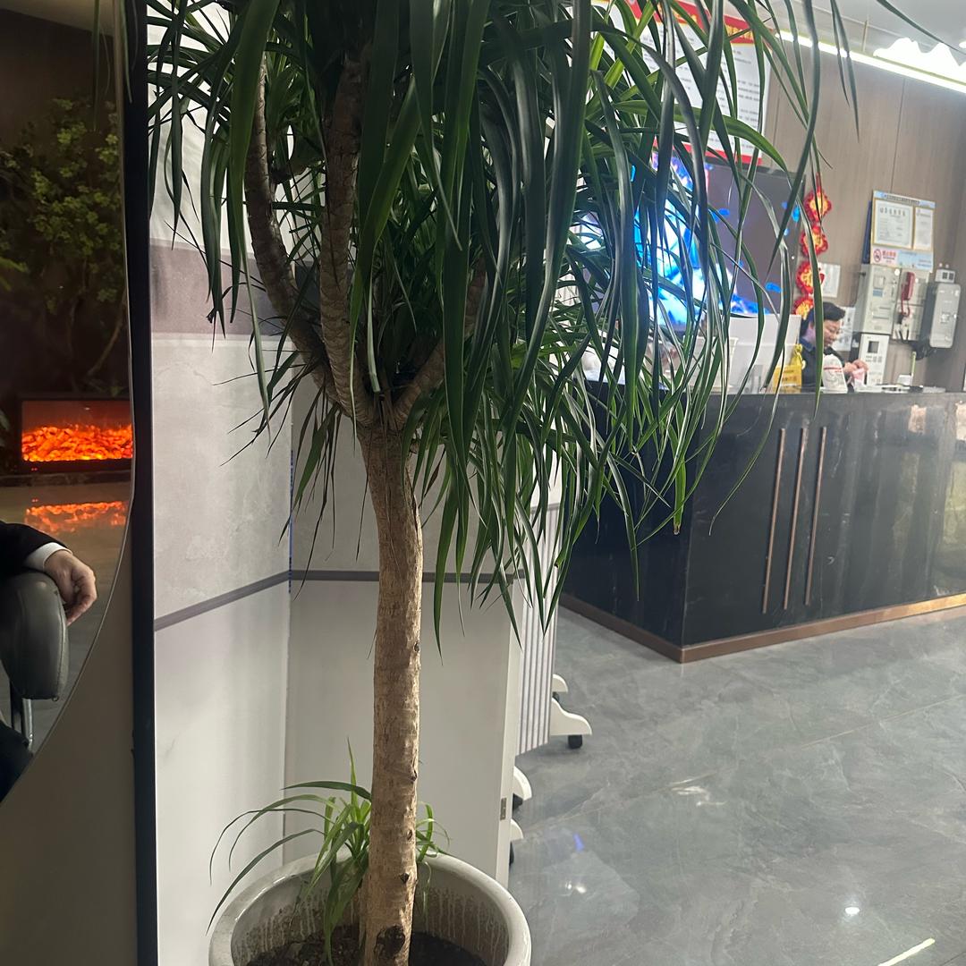 沐清搓澡馆宠粉号