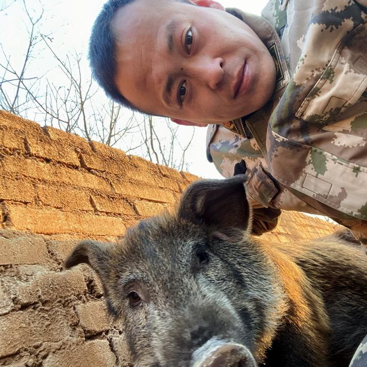 小猪倌（交个朋友露营基地）