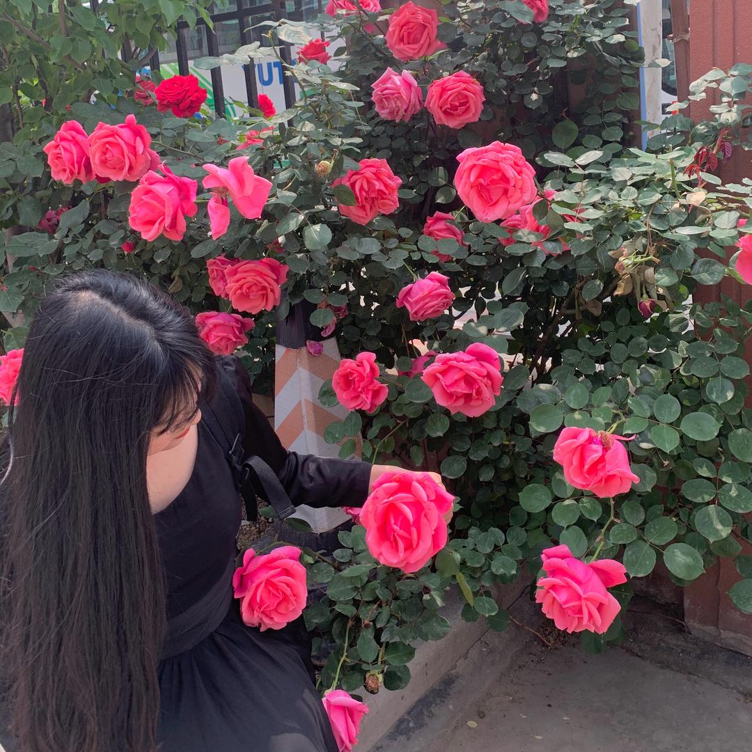 不吃鸡蛋黄女士
