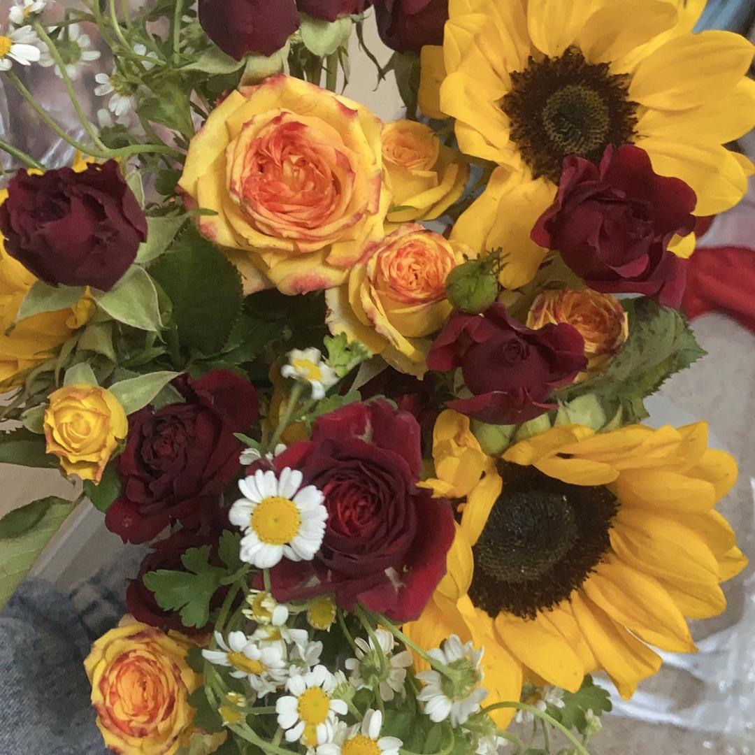 丽💰发✨大财🧧