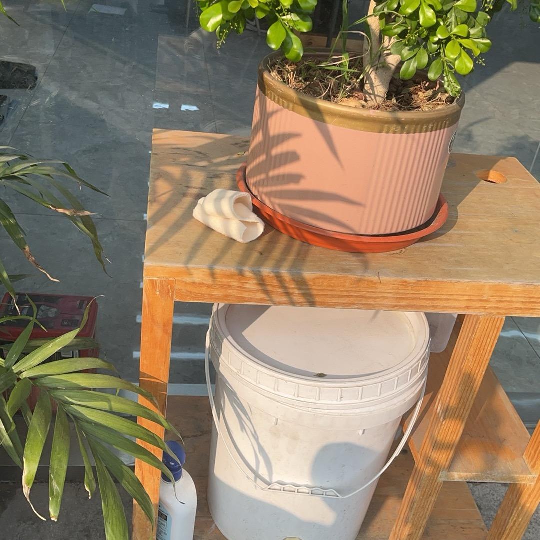 扑脚村