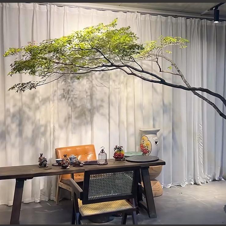 想靠卖绿植发财的铁蛋