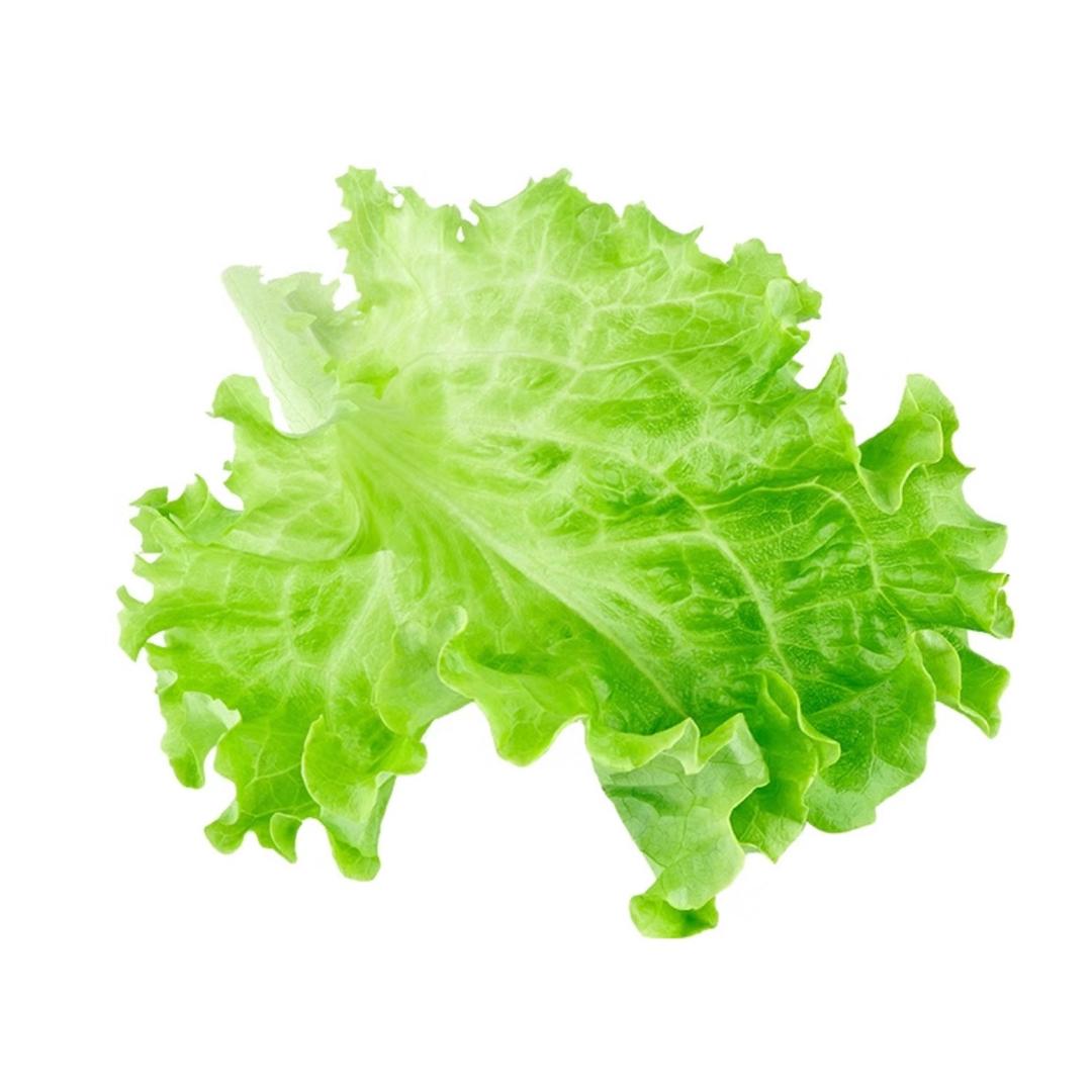 竹康大药房主理人