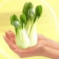 沙沙