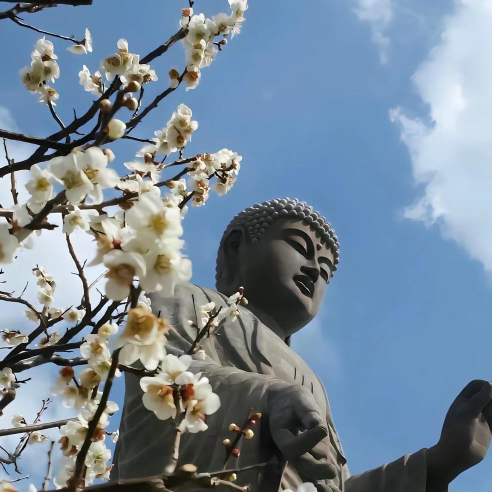 心以海纳百川